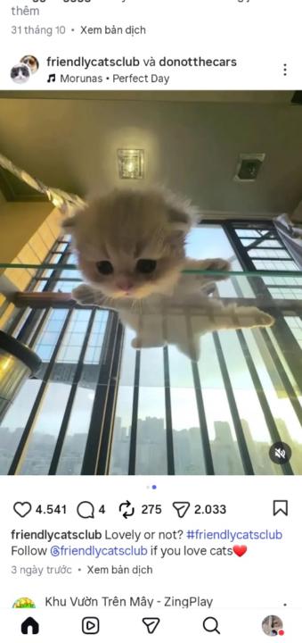 Thanh Ngân Thanh Ngân