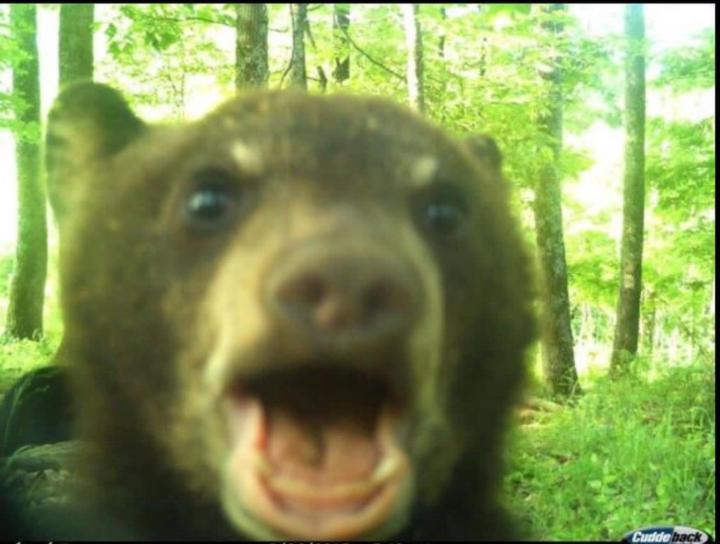 Cristian López Ramírez