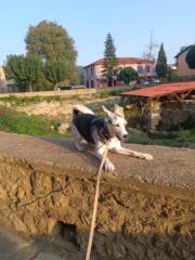 Κατερίνα Μυτιληνού