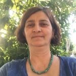 Ayşin Tülek