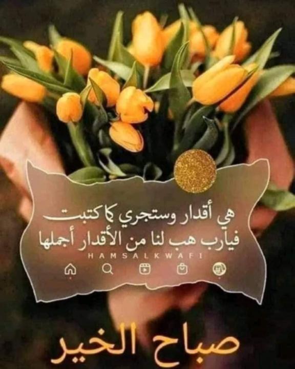 Hafida Chekkouchi
