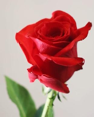 Juan carlos Saiz hinarejos