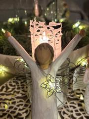 Christine Wallensteiner