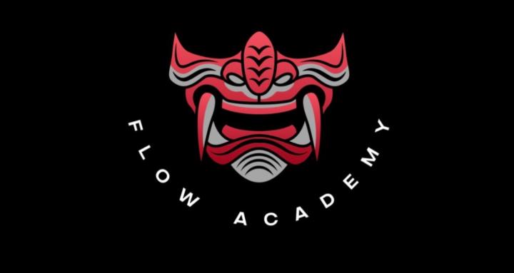Flow Academy