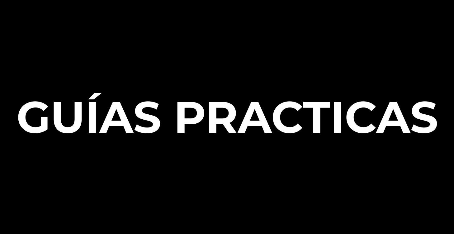 GUÍAS PRACTICAS
