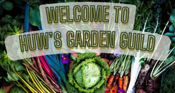 Huw's Garden Guild