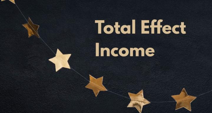 Total Effect Income