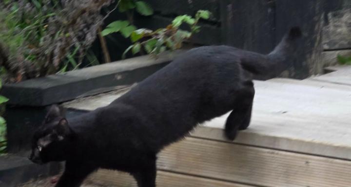 God Has Truth For You