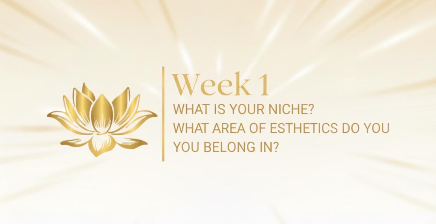 WEEK ONE: FIND YOUR NICHE The foundation.