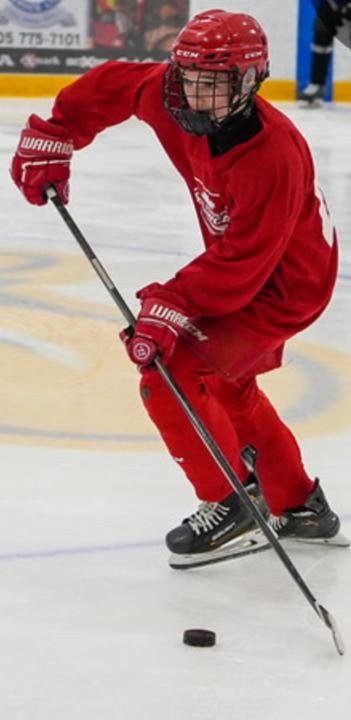 Alexander Archibasov Horneij