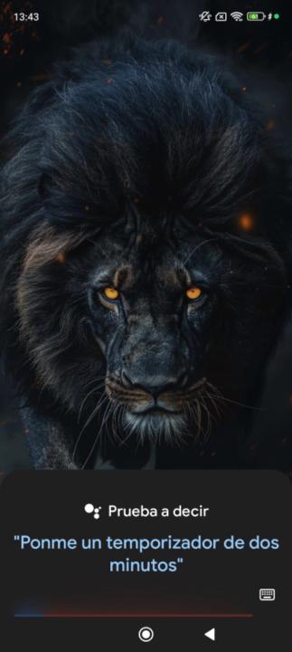 Mohamed Amine Solimani Benali