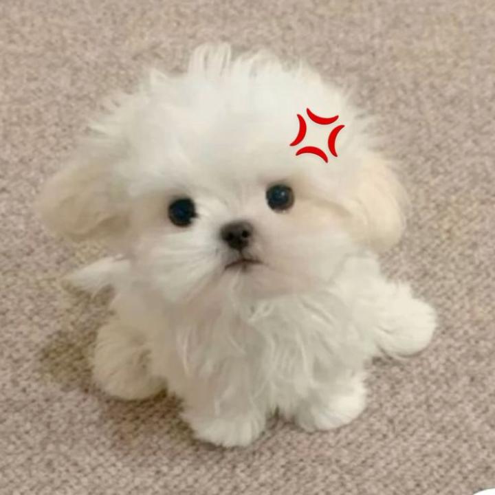 Puttipong Srisuwantat