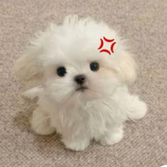 Puttipong Srisuwantat