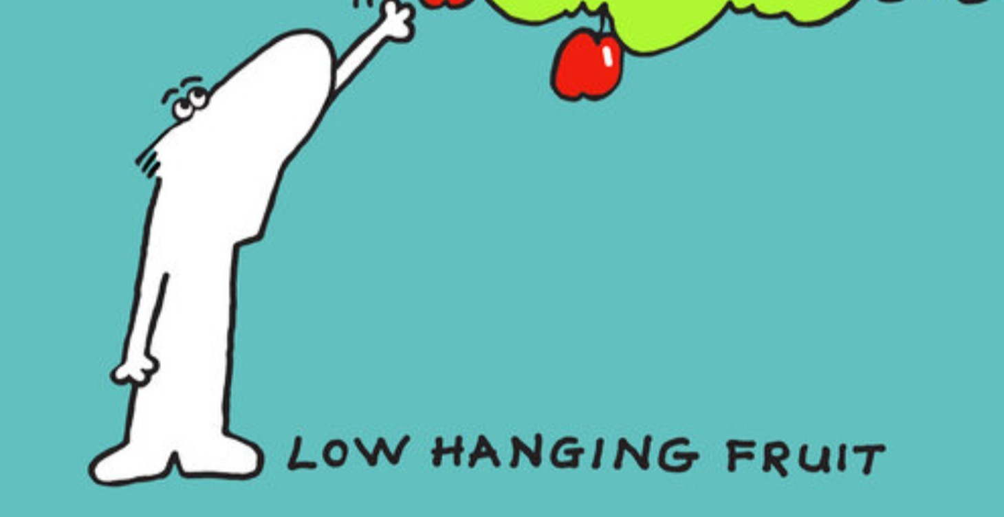 Low Hanging Fruit Side Control Series 1