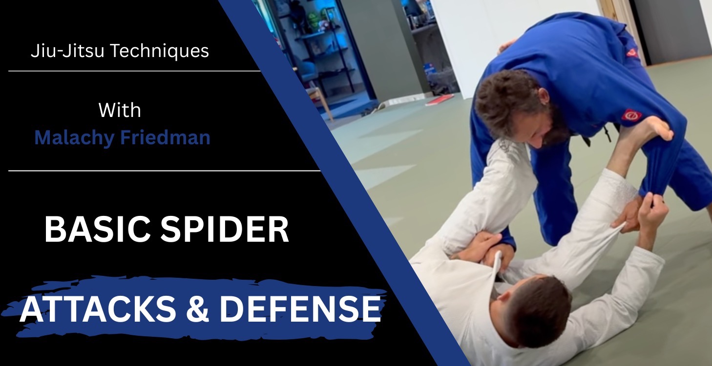 Basic Spider Attacks and Defense