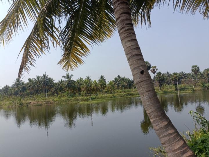 Rupali M