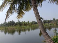 Rupali M