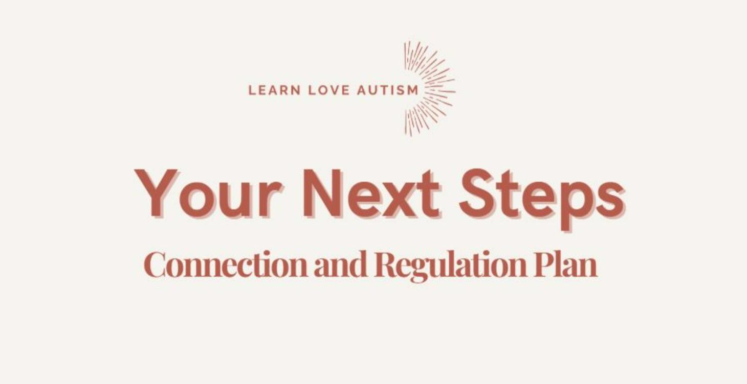 Your Next Steps: Connection and Regulation Plan