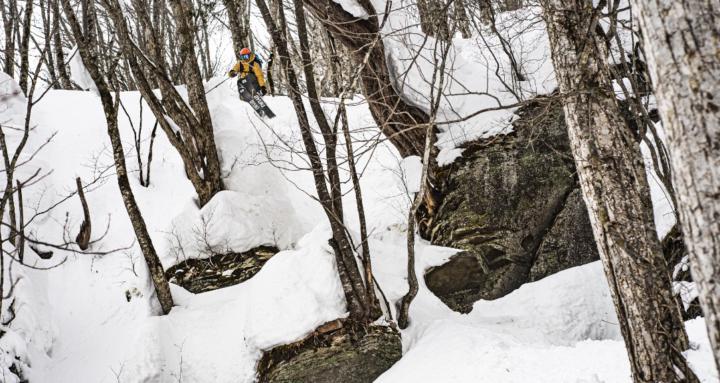 Only Friends On A Pow Day