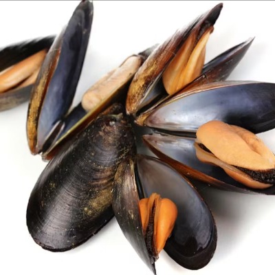 MangeurDeMoules Dans l'océan