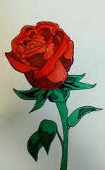 Josley Rodrigues