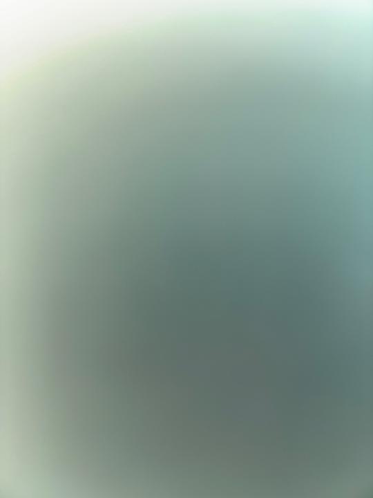 ديمه القحطاني