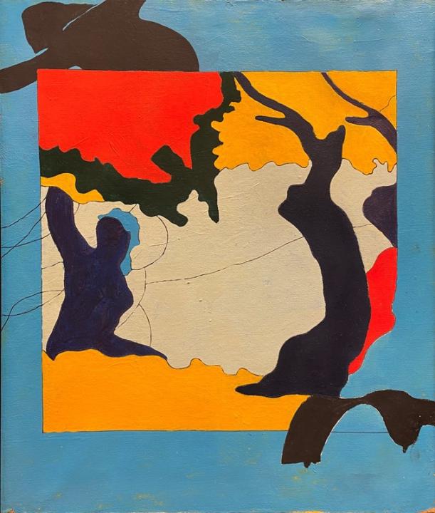 Vittorio Veneto Matera srl Gennaro