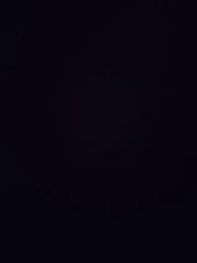 Santiago Hurtado anguis