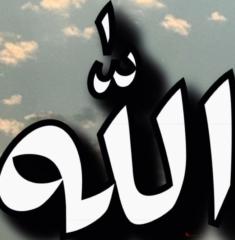 سعيد الشريف