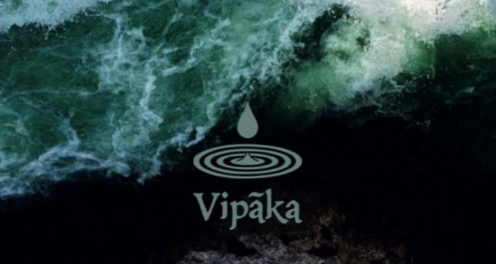 Vipaka - conscious creation