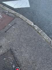 Tommy Bernier-Thibault