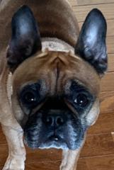 Macvillian SeventyEight