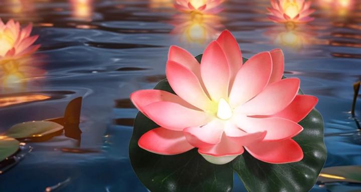 The Lotus Room
