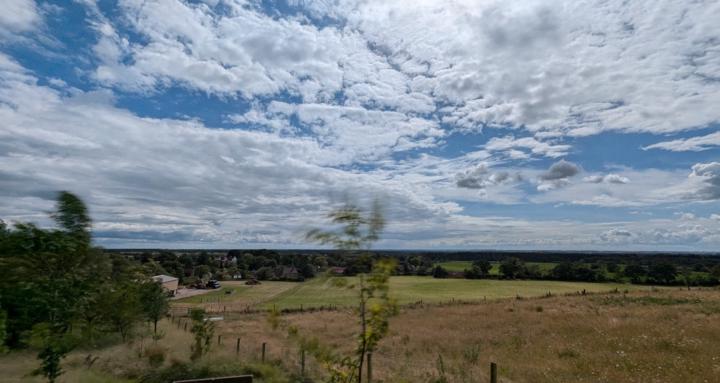 Sustainability & Business 