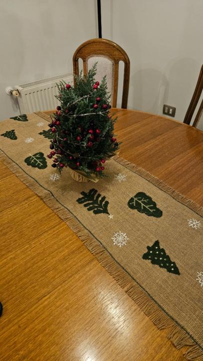 Francisca Palavecino