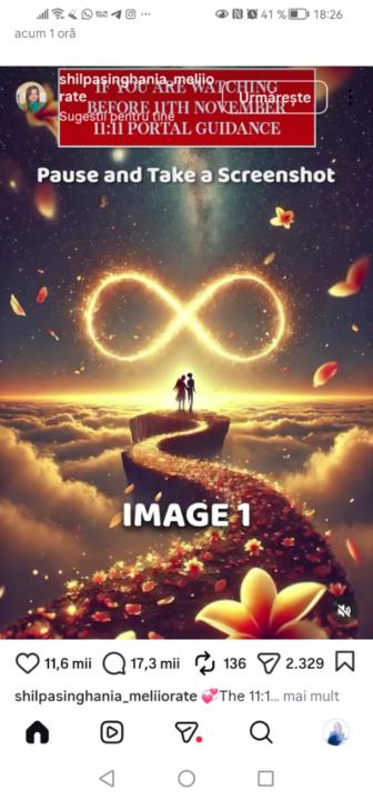 Cretu Nicoleta Elena