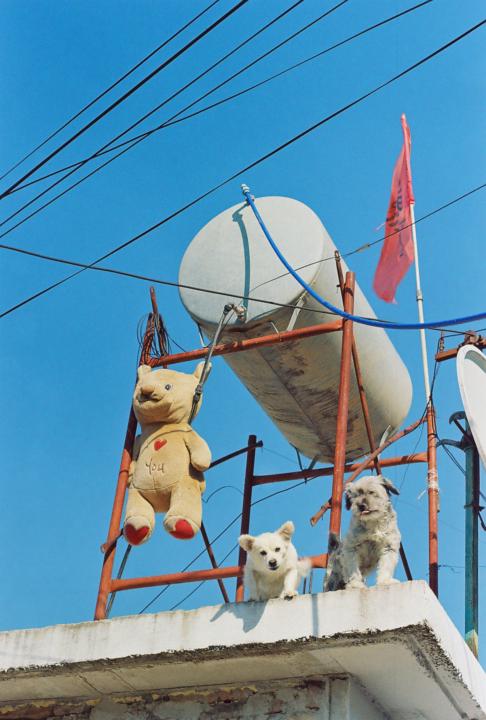 Introduce yourself 📷