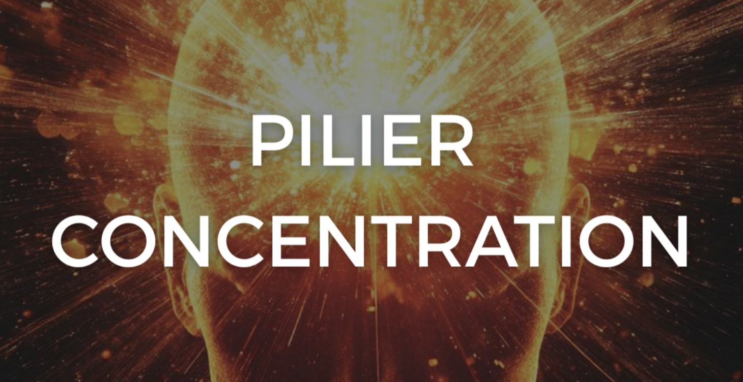 PILIER CONCENTRATION