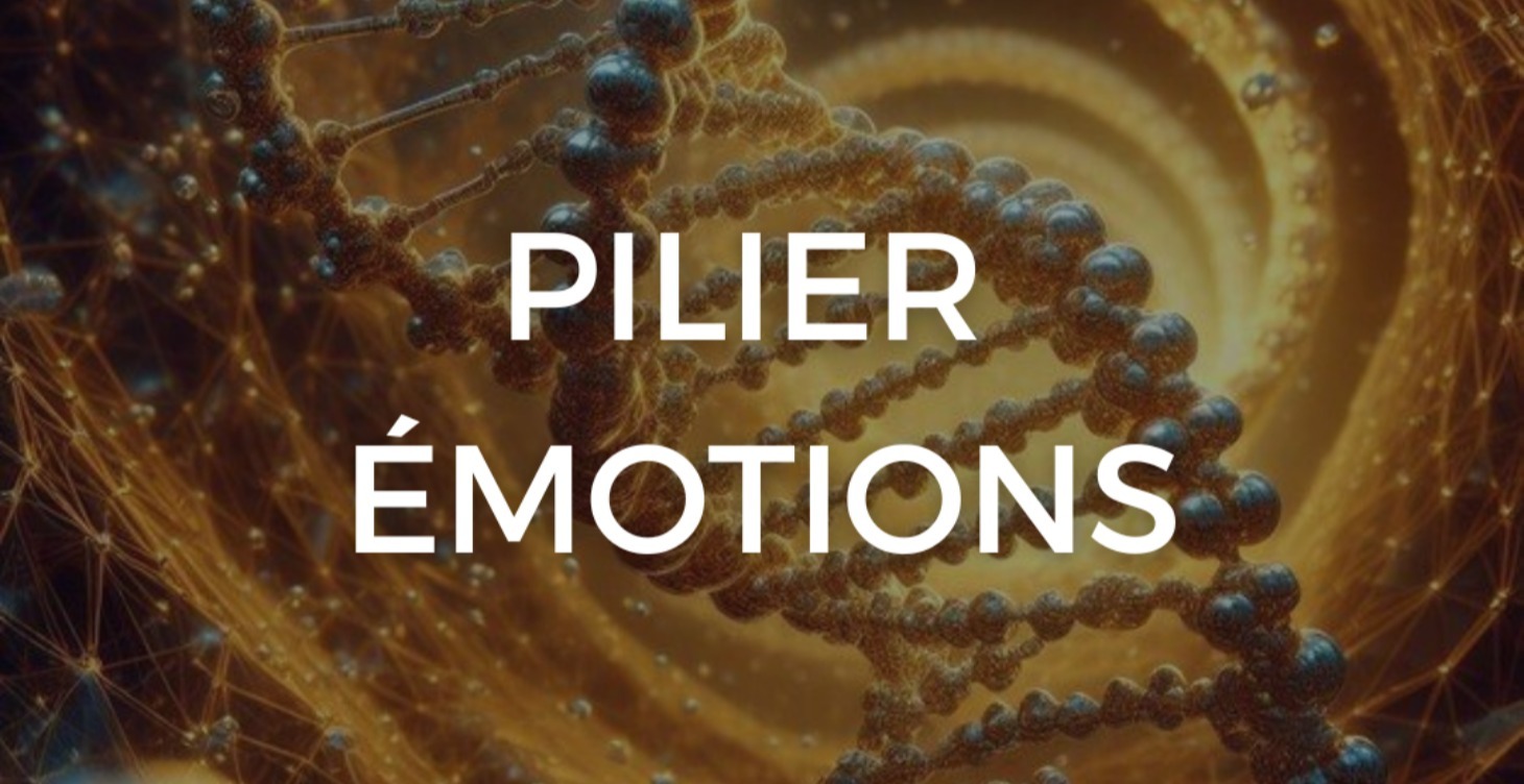PILIER ÉMOTIONS 🔥