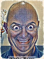 Harry van Beerendonk