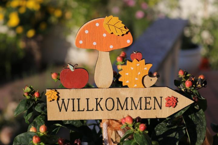🌟 Willkommen beim Freelance Hub DACH liebe Tine P ! 🚀