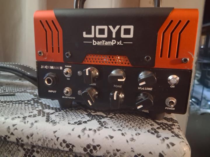 amp discovery