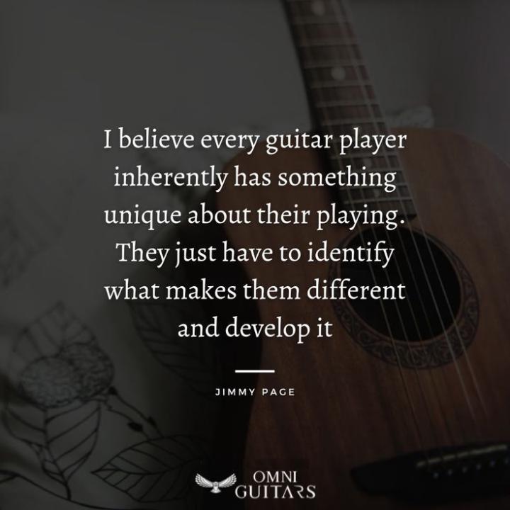 Welcome to Omni Guitars