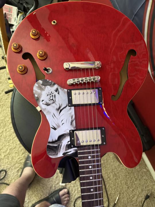 My laser engraved pick guards. I did them myself. 