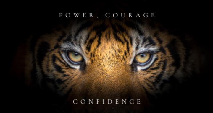 Tiger soul spirit movement