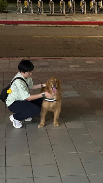 Joyjimd 紀