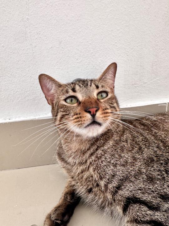 Fernando jose Suarez sandoval