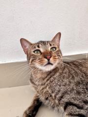 Fernando jose Suarez sandoval