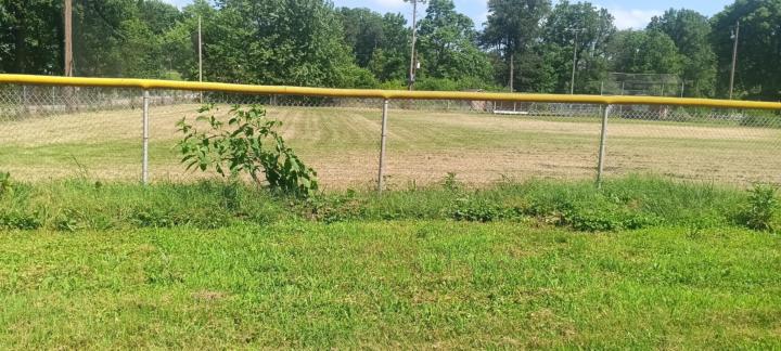 This is how the ballfield is going