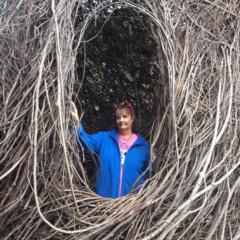 Donna Sendrowski